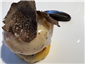 langoustine with truffle